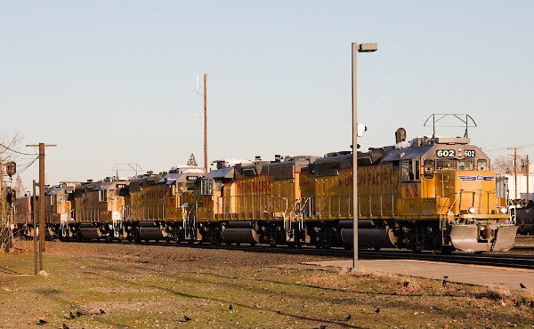 UP602 (GP38N) - UP600 (GP38N)- UP590 (GP38N) - UP585 (GP38N) - UP566 (GP38N)