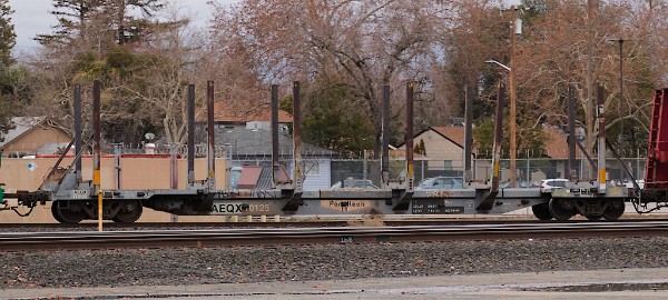 AEQX710125 - Log Spine Car