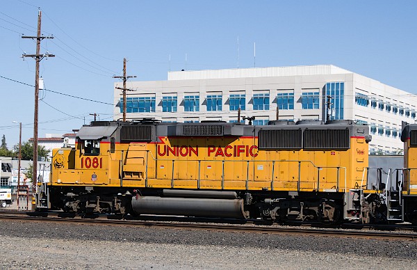 UP1081 (GP60)