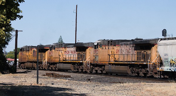 UP7519 (C45ACCTE) - UP6477 (C44AC) - UP6582 (C44AC)