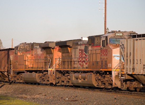 UP5955 (C44ACCTE) - UP5760 (C44ACCTE)