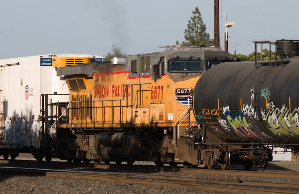 UP6877 (C44AC)