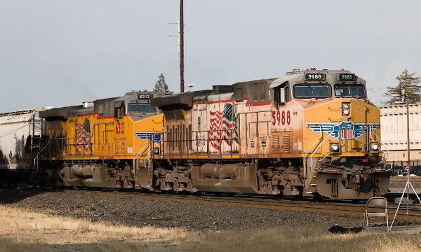 UP5988 (C44ACCTE) - UP6313 (C44AC)