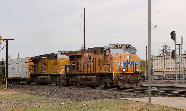 UP7514 (C45ACCTE) - UP7209 (C44ACM)