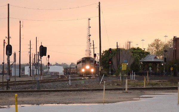 CDTX6963 (Cabcar) Point Reyes