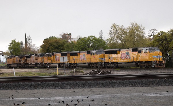 UP9916 (SD59MX) - UP9926 (SD59MX) - UP4560 (SD70M) - UP8654 (SD70ACe) - UP7184 (C44ACM)