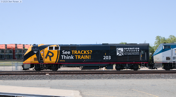 AMTK203 (P42)