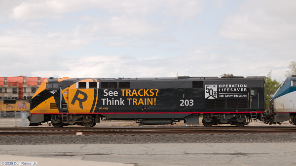 AMTK203 (P42)